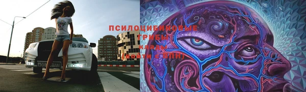 не бодяженный Лиски