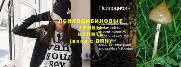а пвп мука Куйбышев