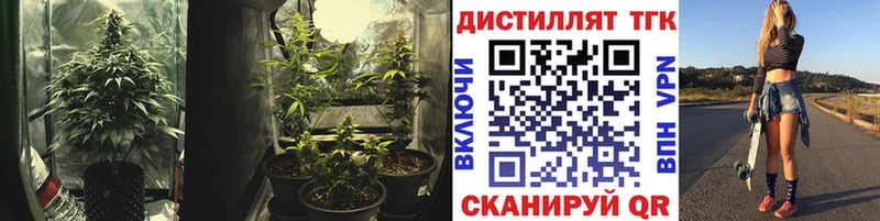 Купить закладки  Выборг  Дистиллят ТГК вейп с тгк 