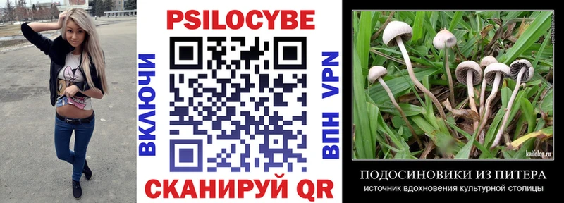 Купить  Выборг  Псилоцибиновые грибы Psilocybe 